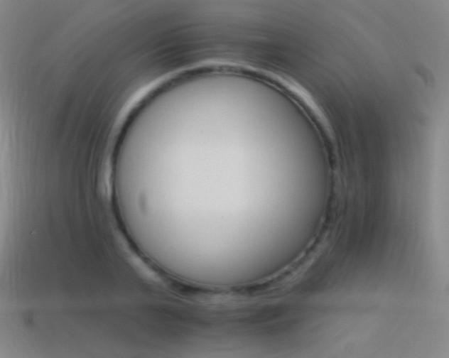 X0000114400791200910161314