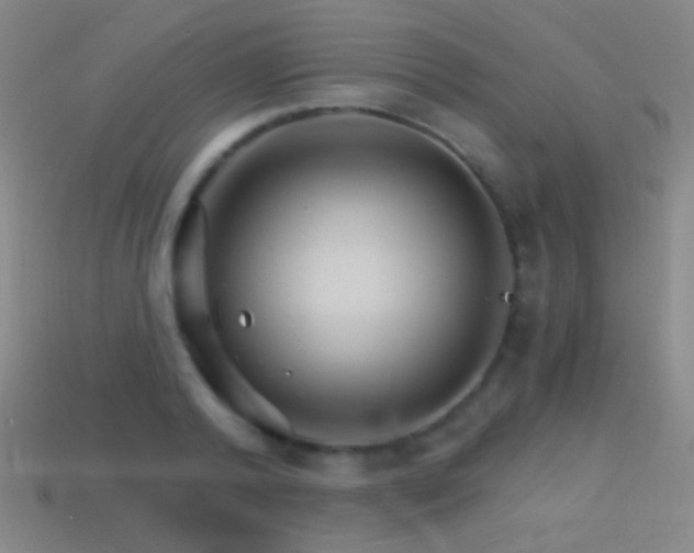 X0000114400792200910161314