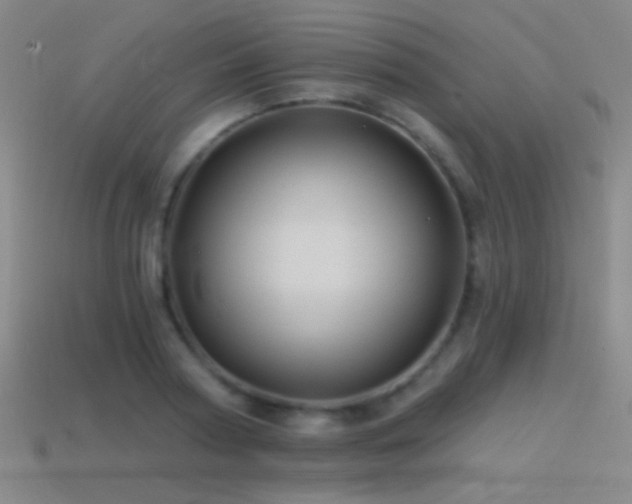 X0000114400794200910161314