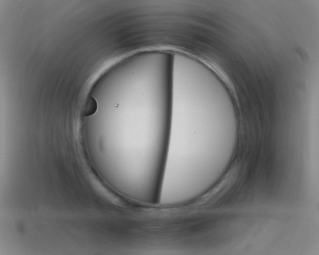 X0000114400797200910161314