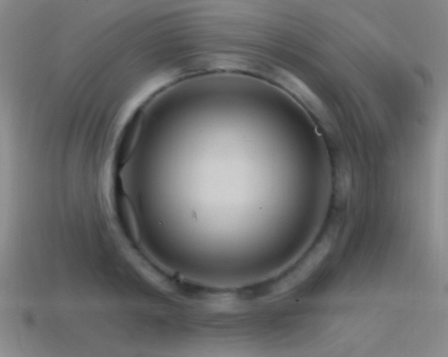 X0000114400798200910161314