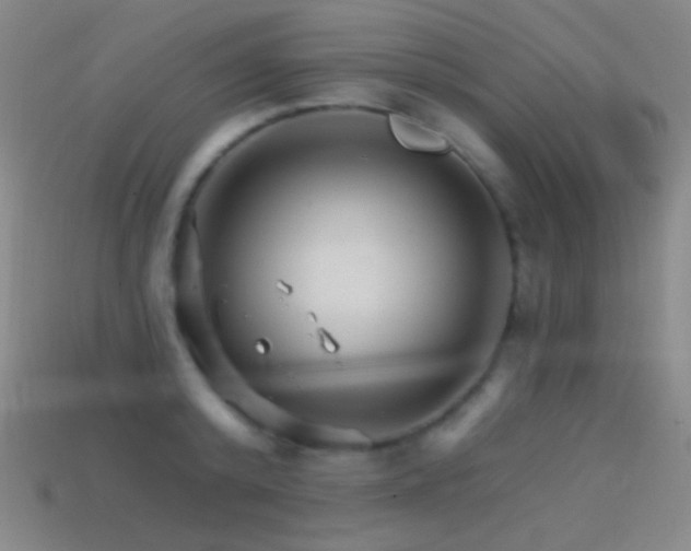 X0000114400800200910161314