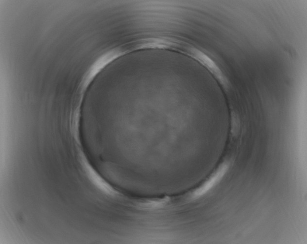 X0000114400802200910161314