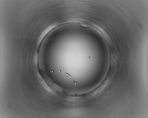 X0000114400804200910161314