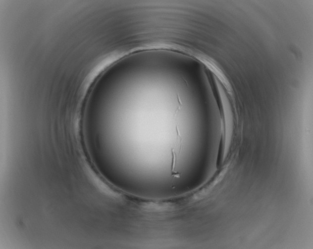 X0000114400805200910161314