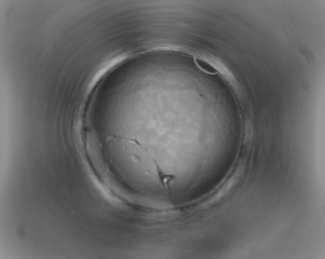 X0000114400806200910161314