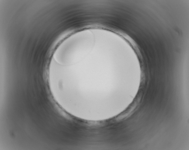 X0000114400807200910161314