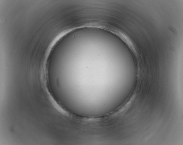 X0000114400808200910161314