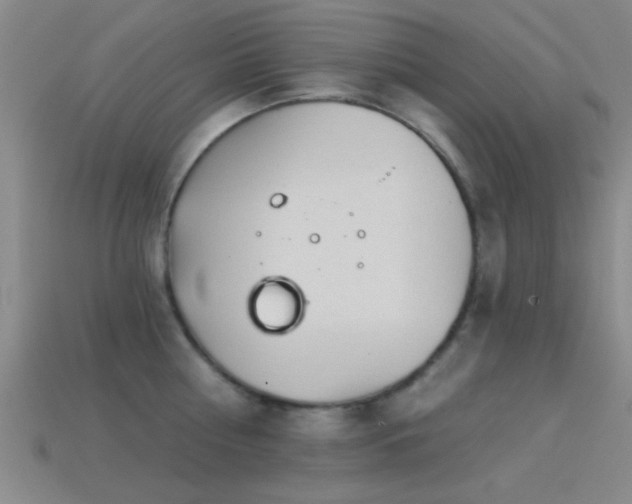 X0000114400810200910161314