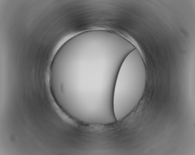 X0000114400811200910161314