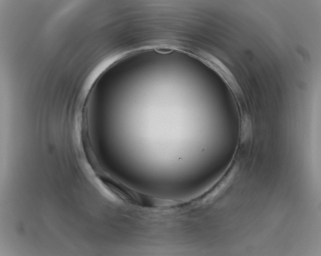 X0000114400812200910161314