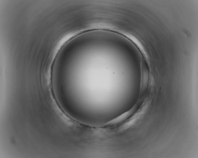 X0000114400815200910161314