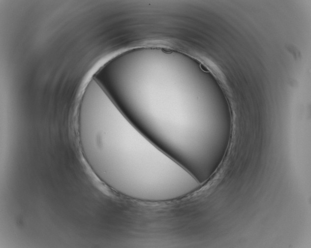 X0000114400816200910161314