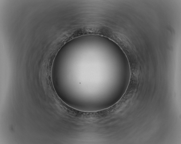 X0000114400817200910161313