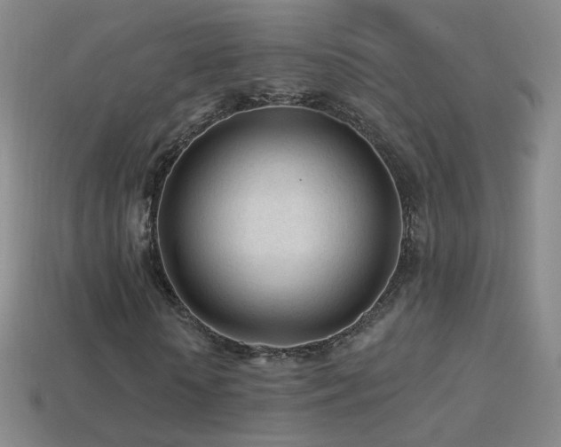 X0000114400818200910161313