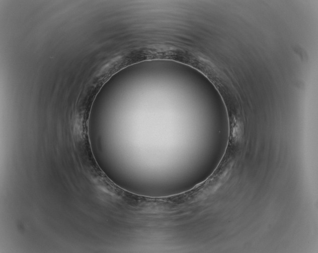 X0000114400819200910161313