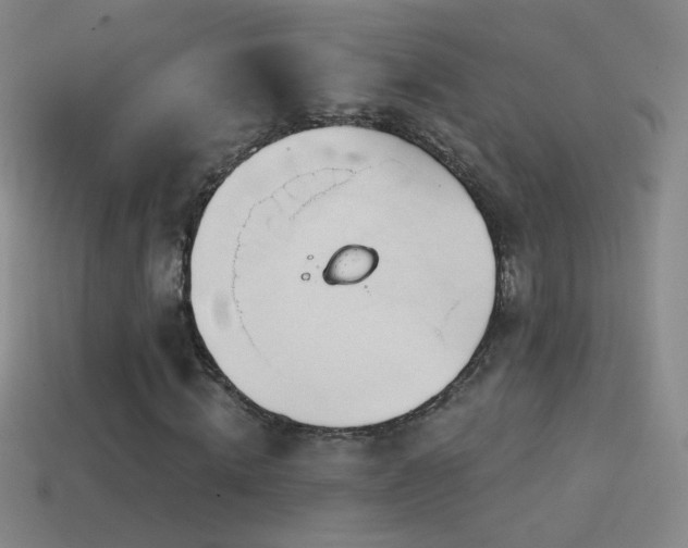 X0000114400820200910161313