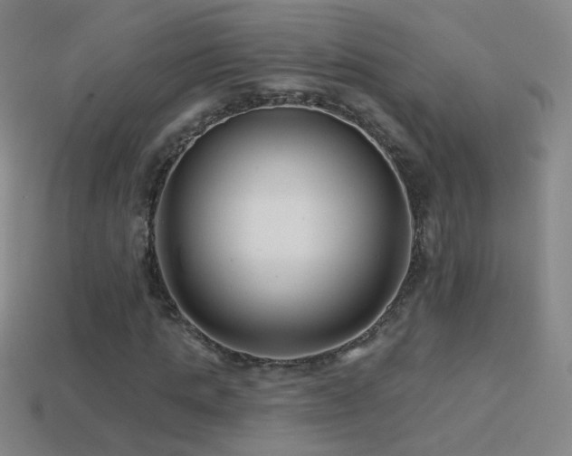 X0000114400821200910161313