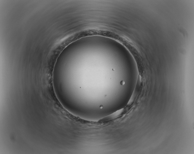 X0000114400822200910161313