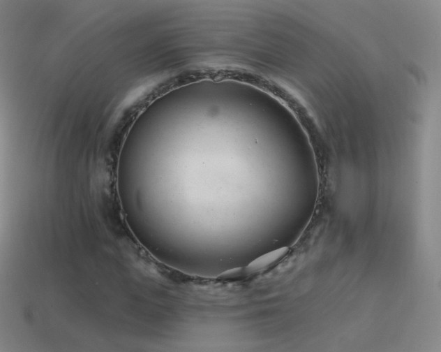 X0000114400823200910161313