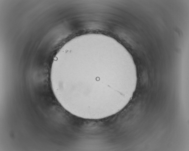 X0000114400824200910161313