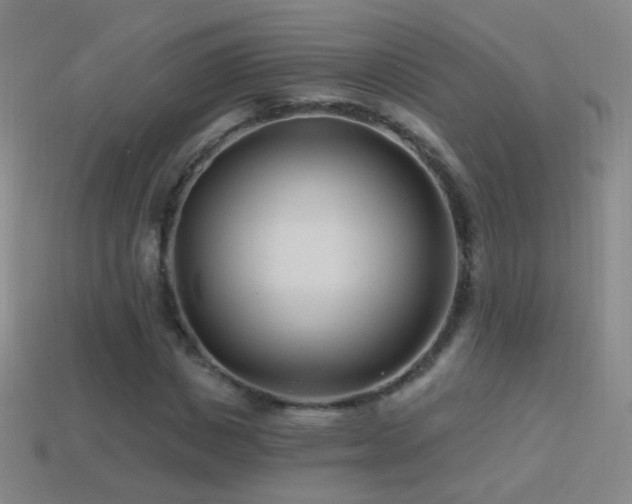 X0000114400825200910161313