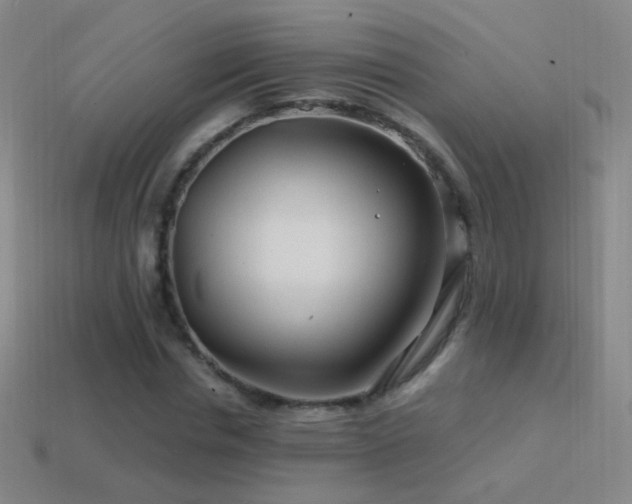 X0000114400826200910161313