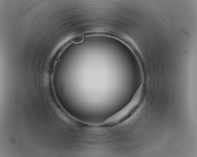 X0000114400827200910161313