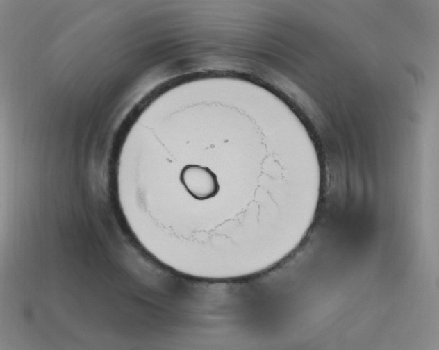 X0000114400828200910161313