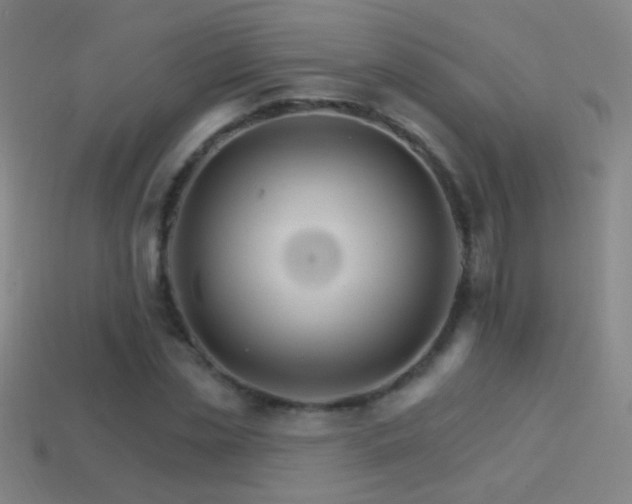 X0000114400829200910161313