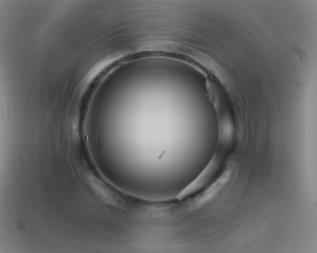 X0000114400830200910161313