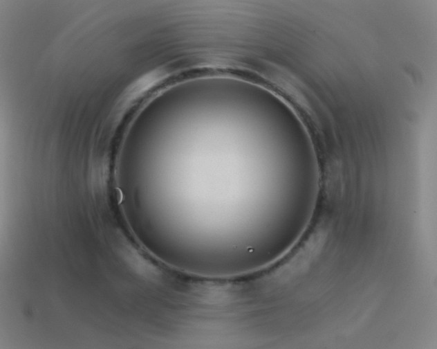 X0000114400831200910161313