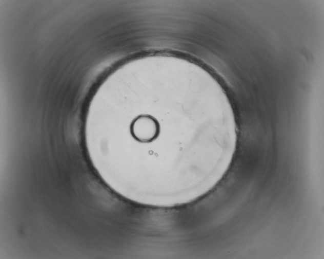 X0000114400832200910161313