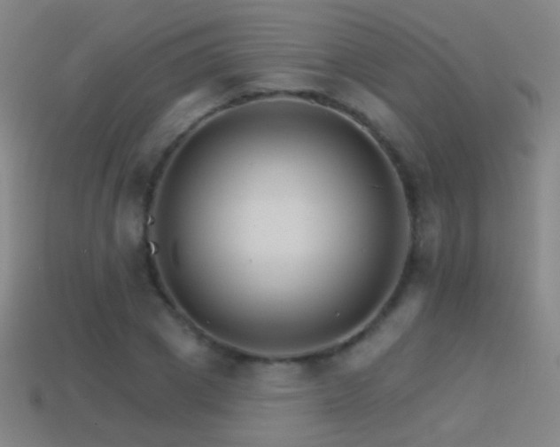 X0000114400833200910161313