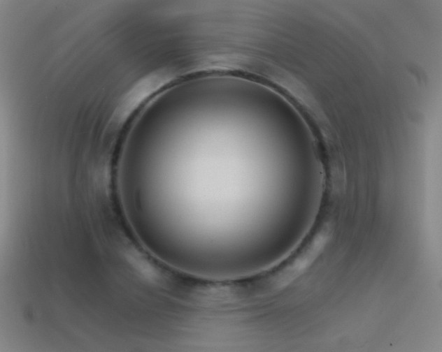 X0000114400834200910161313