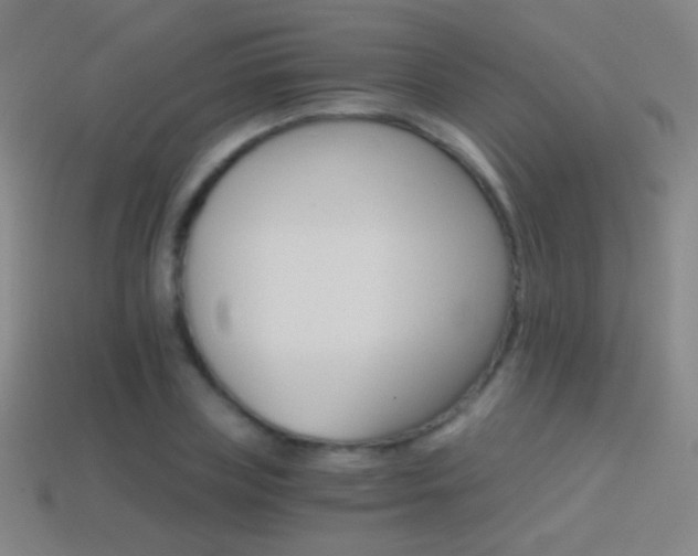 X0000114400835200910161313