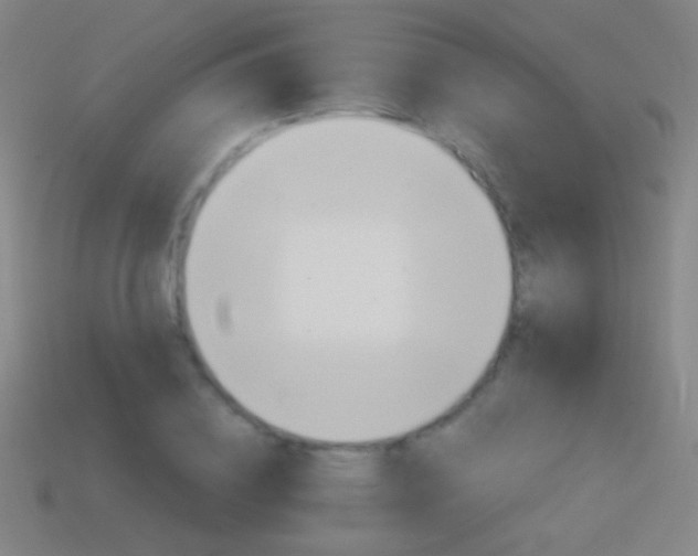 X0000114400836200910161313