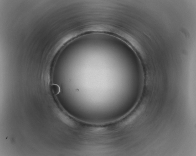 X0000114400837200910161313