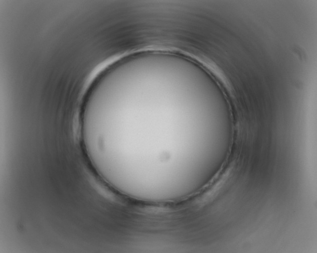 X0000114400838200910161313