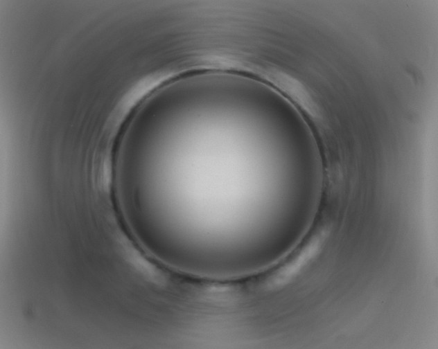 X0000114400839200910161313