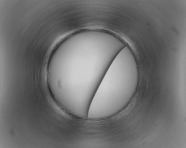 X0000114400840200910161313