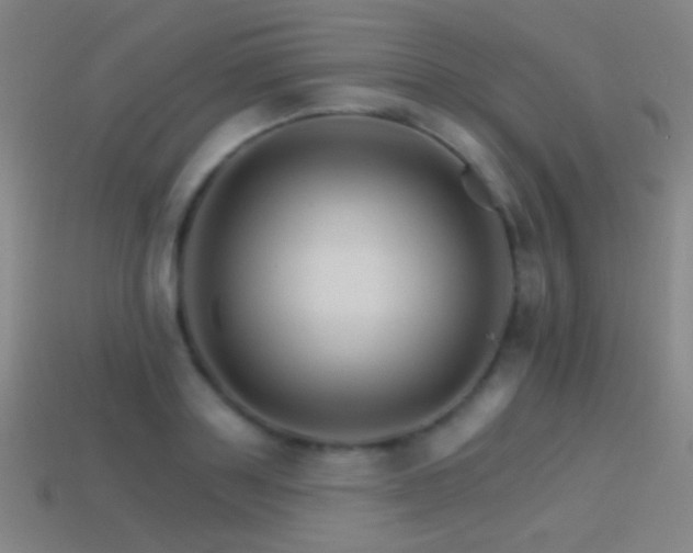 X0000114400843200910161313