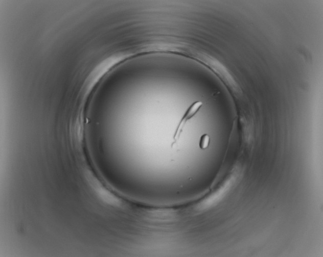 X0000114400844200910161313