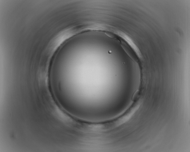 X0000114400845200910161313