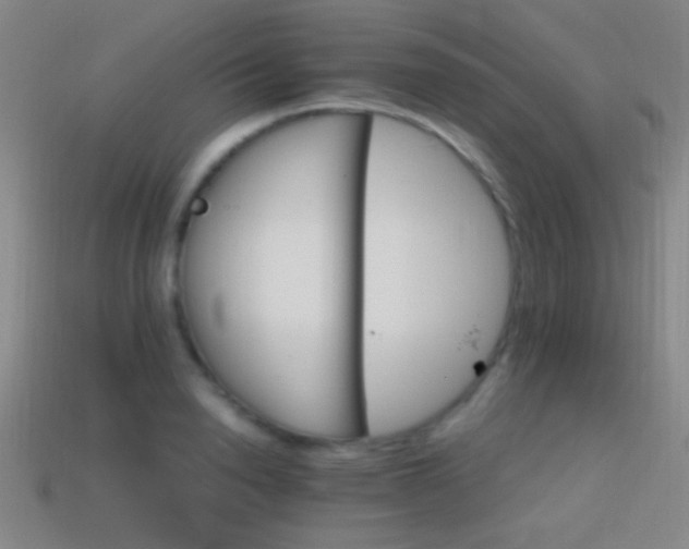 X0000114400846200910161313