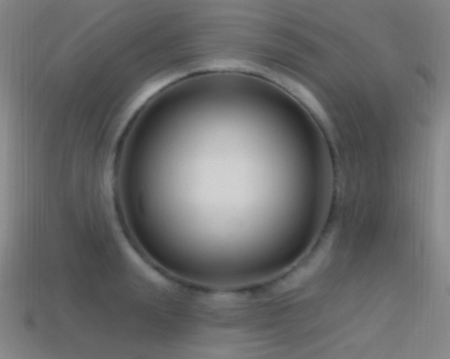 X0000114400847200910161313