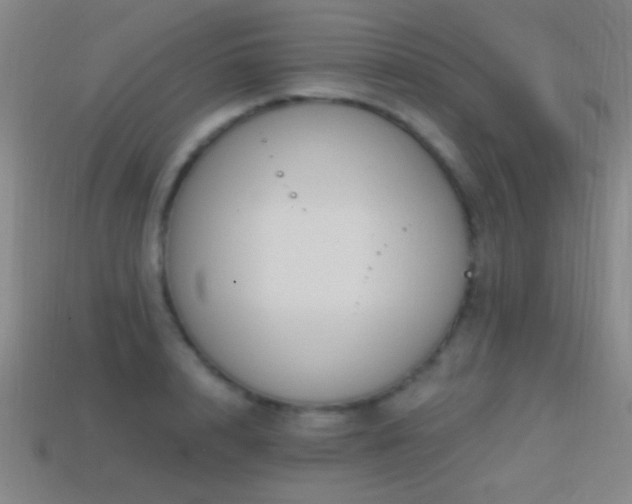 X0000114400848200910161313