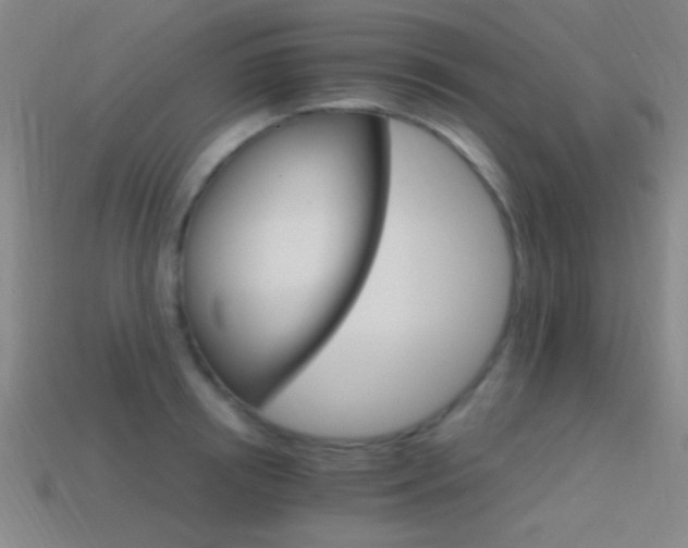 X0000114400850200910161313