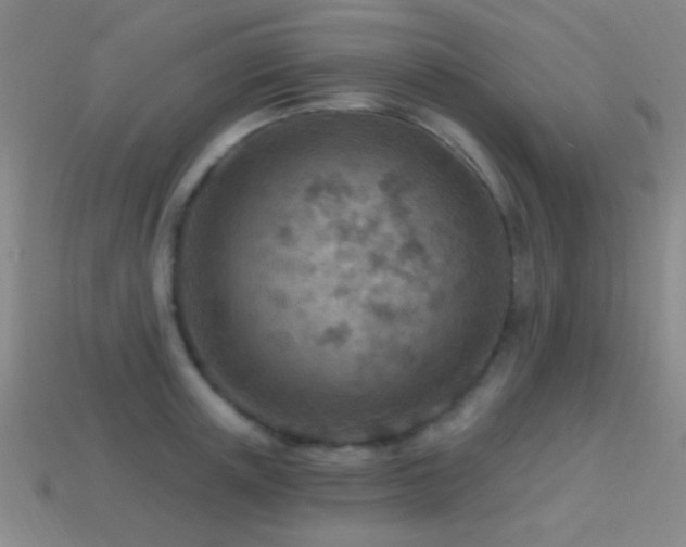 X0000114400851200910161313