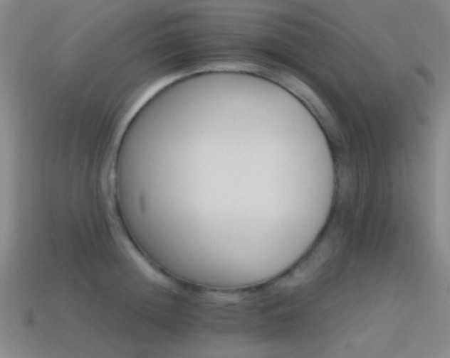 X0000114400852200910161313